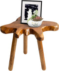 Teak Side Table, Live Edge End Table, Solid Wood Side Table for Living Room, Bedroom, Patio, Plant Stand, Tree Stump Style Natural Wood Accent Table