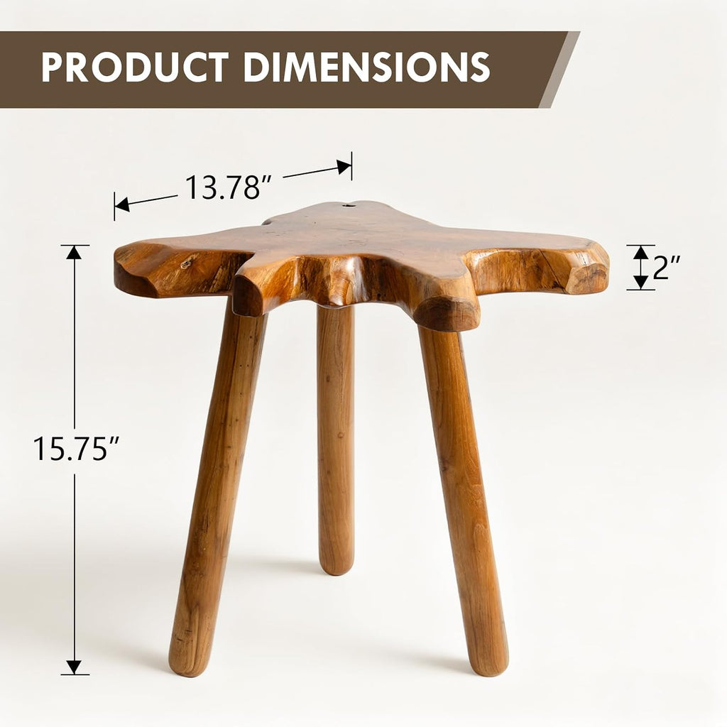Teak Side Table, Live Edge End Table, Solid Wood Side Table for Living Room, Bedroom, Patio, Plant Stand, Tree Stump Style Natural Wood Accent Table