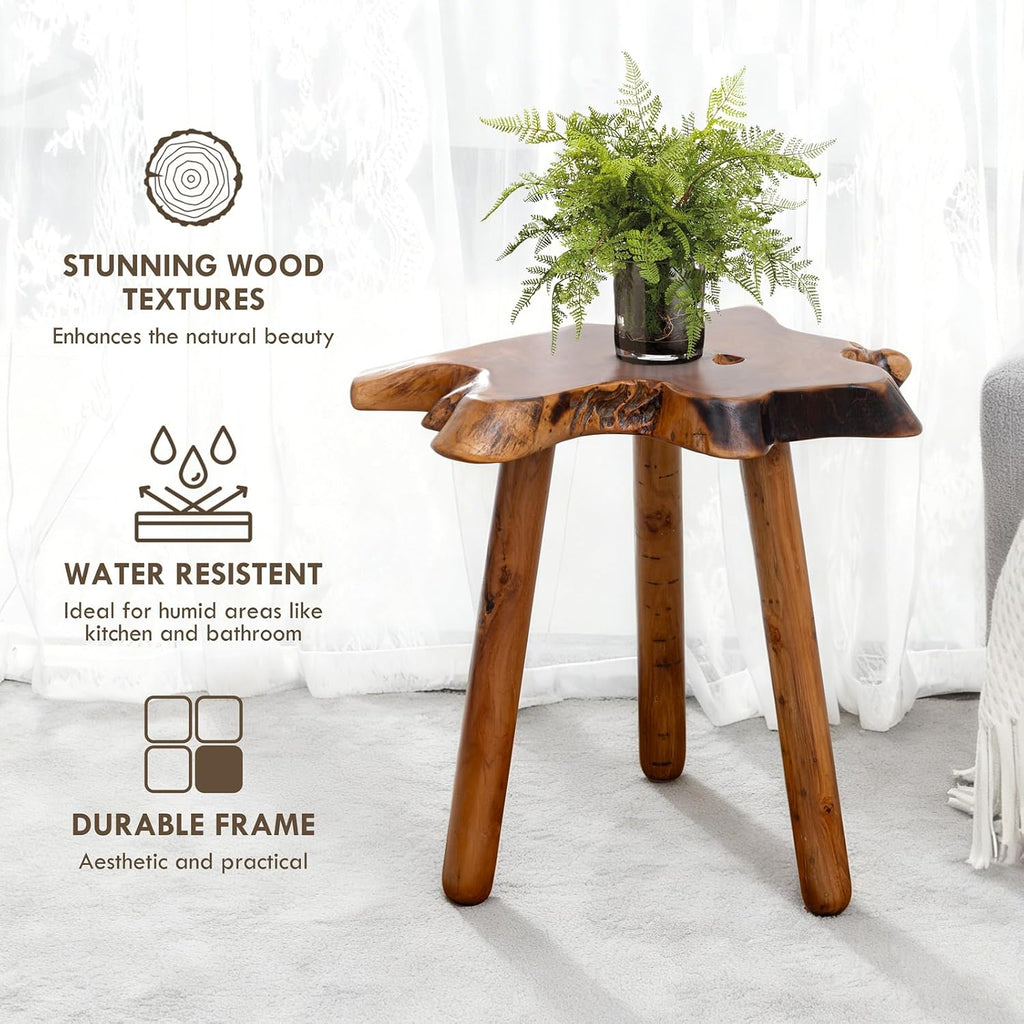 Teak Side Table, Live Edge End Table, Solid Wood Side Table for Living Room, Bedroom, Patio, Plant Stand, Tree Stump Style Natural Wood Accent Table