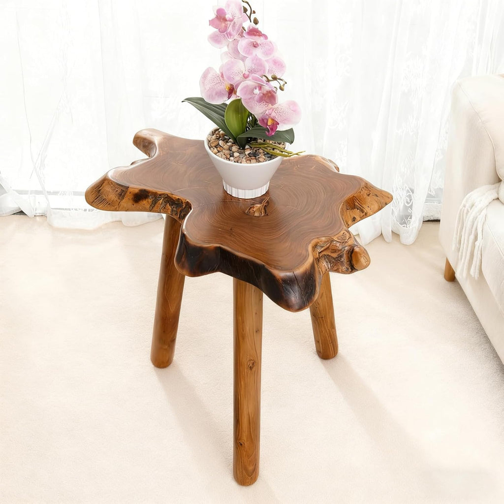 Teak Side Table, Live Edge End Table, Solid Wood Side Table for Living Room, Bedroom, Patio, Plant Stand, Tree Stump Style Natural Wood Accent Table