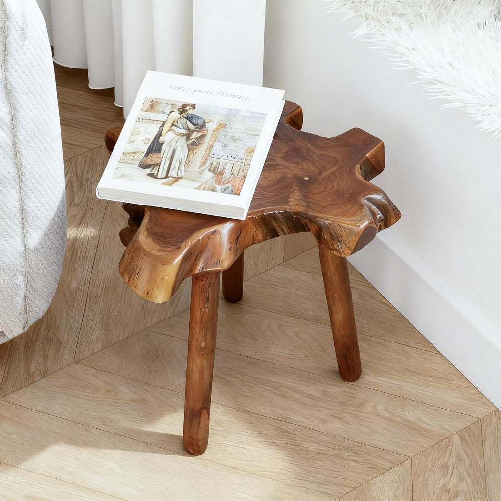 Teak Side Table, Live Edge End Table, Solid Wood Side Table for Living Room, Bedroom, Patio, Plant Stand, Tree Stump Style Natural Wood Accent Table